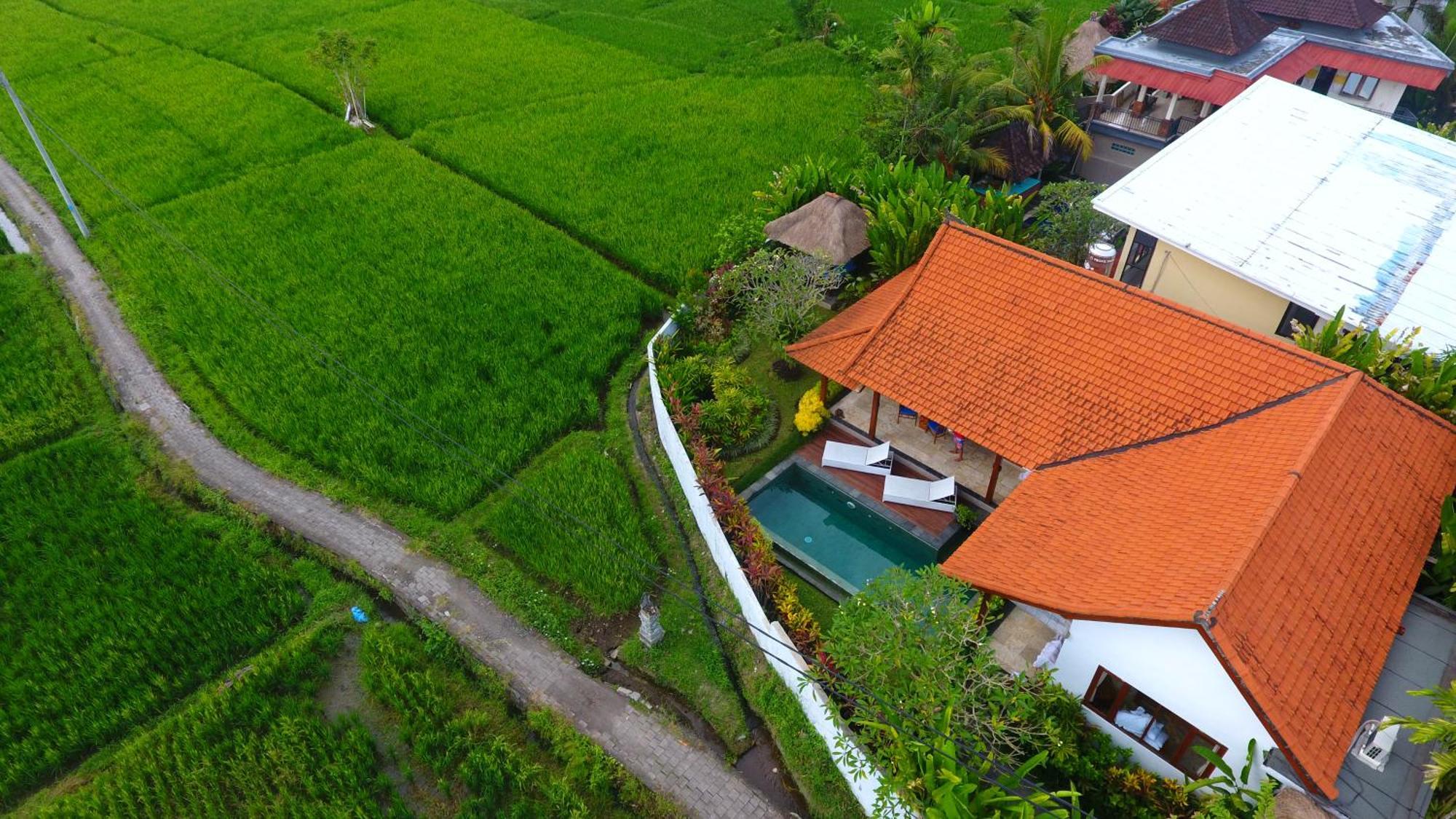 Villa Maya Ubud, Peaceful Rice Field View Ubud