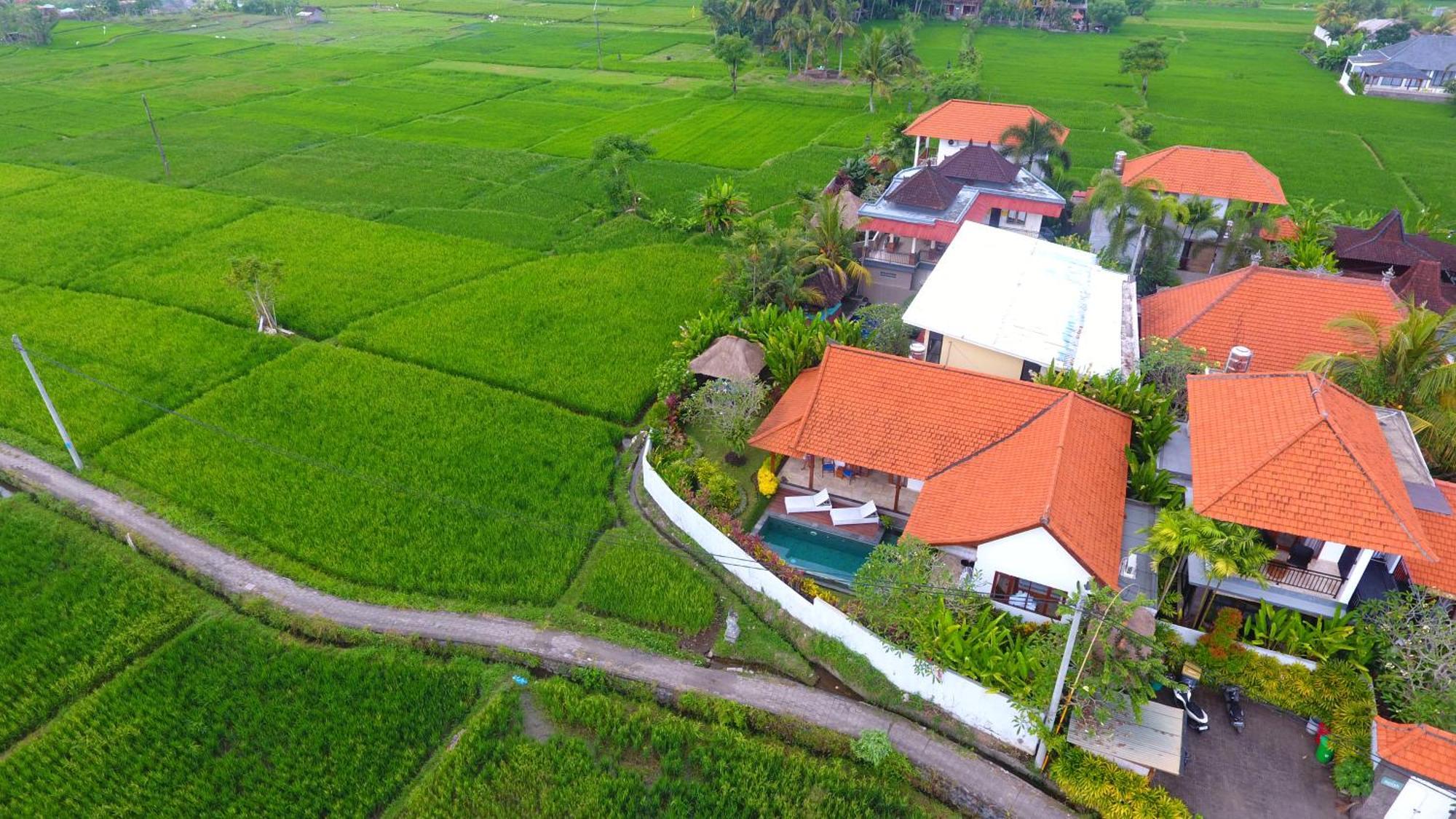 Maya Ubud, Peaceful Rice Field View Villa Ubud